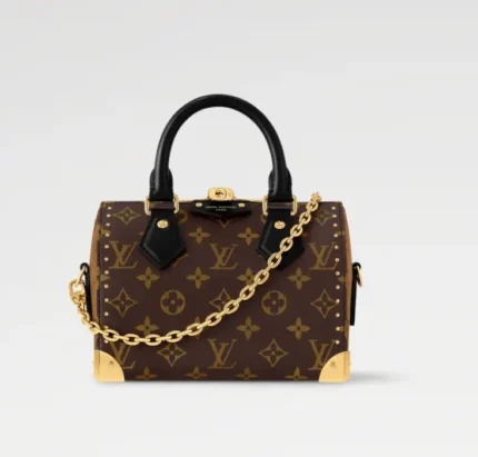 LOUIS VUITTON Speedy Trunk 20 M13146
