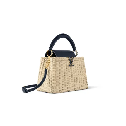 LOUIS VUITTON CAPUCINES BB M14366 (27*18*9cm)